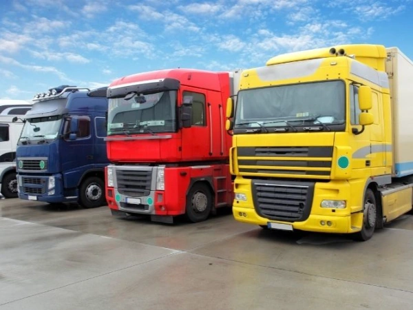 İzmir Murgul Nakliye